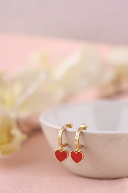 Pretty Heart Earrings